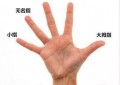 手指的名称（一只手的部位名称图片）