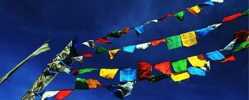 藏族的风俗文化有哪些（藏族的独特习俗你知道哪些）