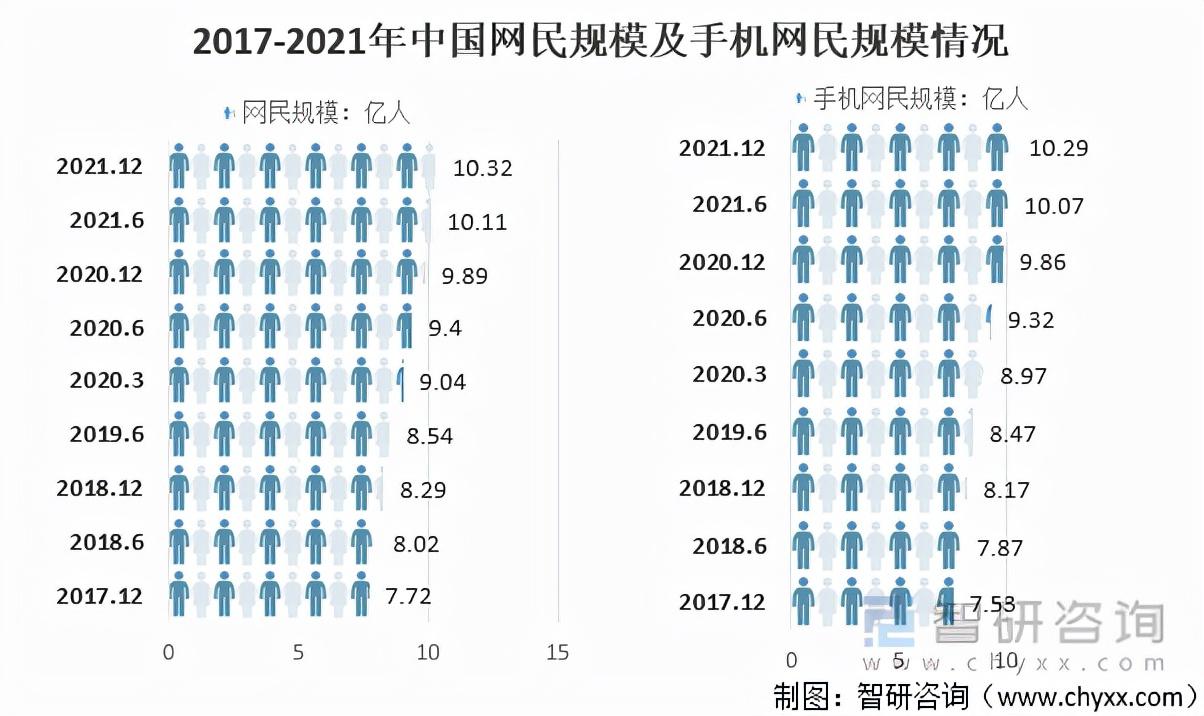 各省互联网普及率（2021年中国互联网网民规模及互联网普及率情况）